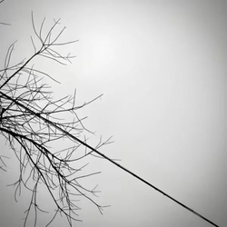等你下课 banner