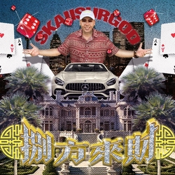 別墅裡面唱k 水池裡面銀龍魚 banner