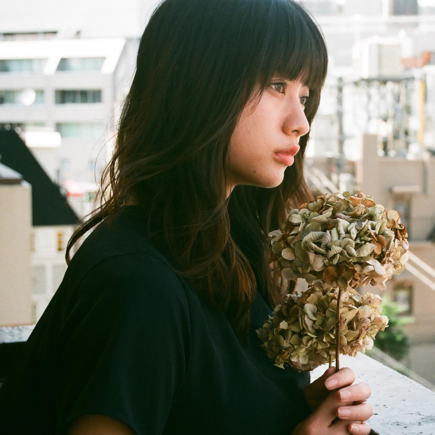 乾燥花  ドライフラワー