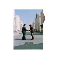 Shine On You Crazy Diamond (Pts. 6-9) banner