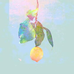 Lemon banner