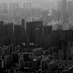 海街寺庙 banner