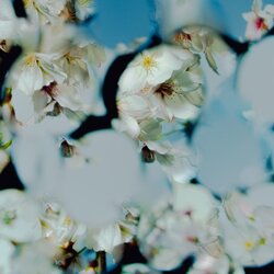 喜劇 banner