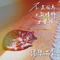 不是因为天气晴朗才爱你 banner