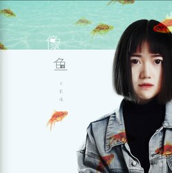 像鱼 banner