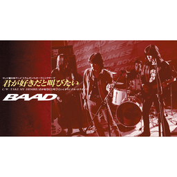 君が好きだと叫びたい BAAD banner