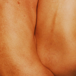 Wind of Tomorrow banner