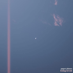 Losing Streak(Paper Planes) banner