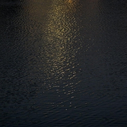 对不起 我爱你 banner