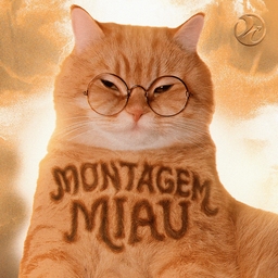 Montagem Miau banner