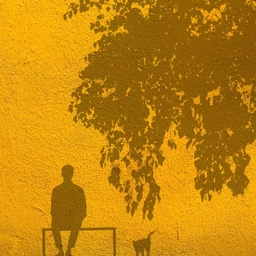 关于郑州的记忆 banner